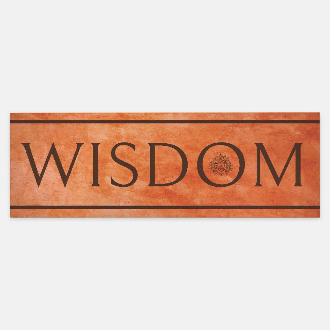 Wisdom Scarf Orange
